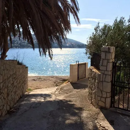 Casa Strauss * טרוגיר